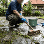 Cara Bersihkan Lumut Membandel di Lantai Paving dan Garasi Mobil Saat Musim Hujan